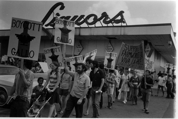 (3705) Gallo Boycott, Demonstration (3705) Gallo Boycott, Demonstration